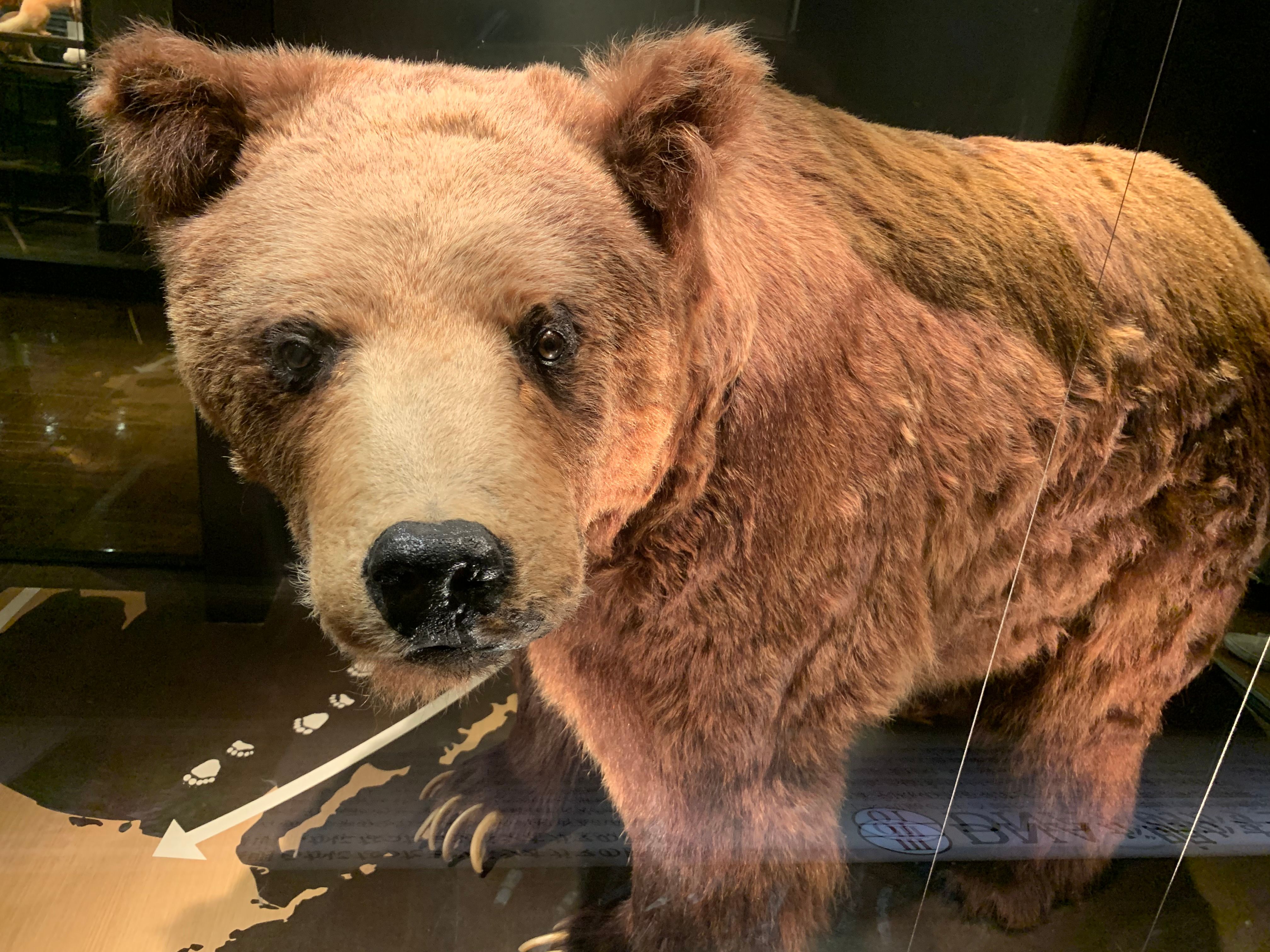 Featured image of the post